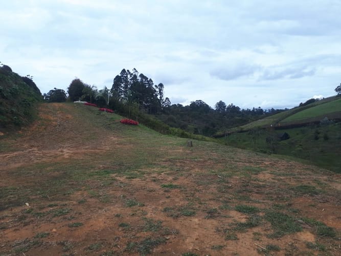Lote en venta en La Sonadora, El Carmen de Viboral, 5200 m² · foto 4 de 16