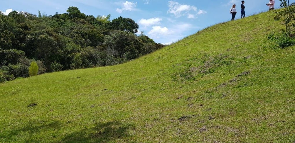 Lote en venta en La Sonadora, El Carmen de Viboral, 5200 m² · foto 5 de 16