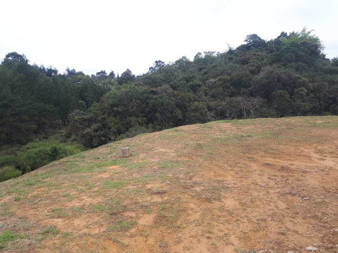 Lote en venta en La Sonadora, El Carmen de Viboral, 5200 m² · foto 7 de 16