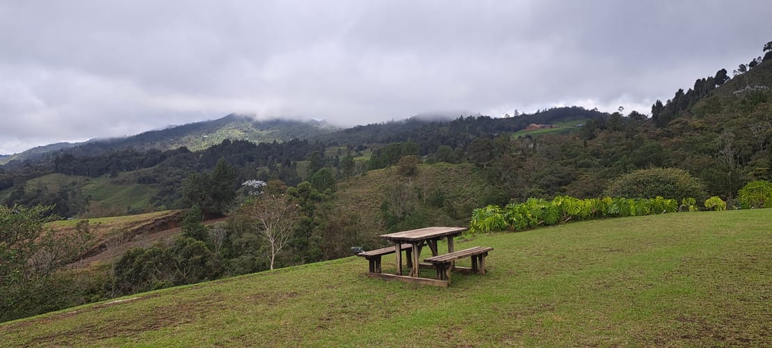 Finca en venta en El Tablazo, Rionegro, 15000 m² · foto 8 de 24