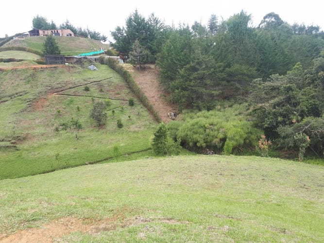 Lote en venta en La Sonadora, El Carmen de Viboral, 5200 m² · foto 10 de 16