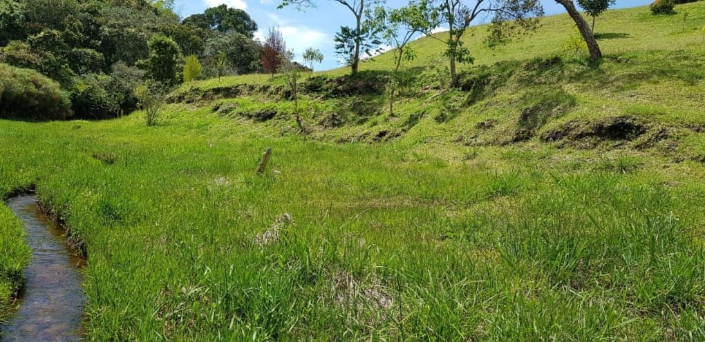 Lote en venta en La Sonadora, El Carmen de Viboral, 5200 m² · foto 11 de 16