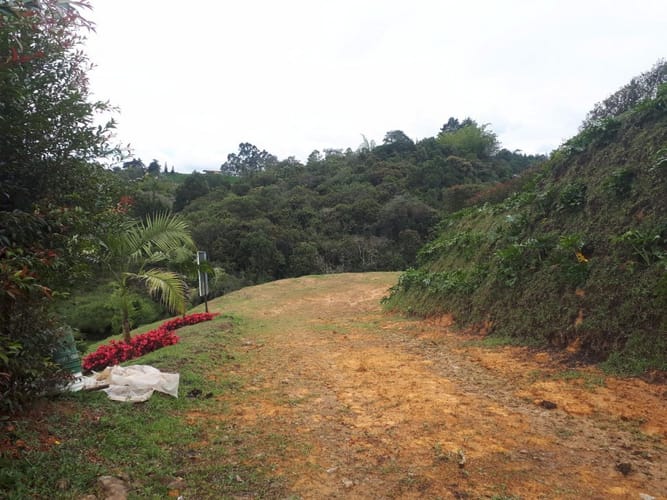 Lote en venta en La Sonadora, El Carmen de Viboral, 5200 m² · foto 12 de 16