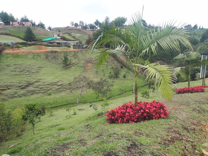 Lote en venta en La Sonadora, El Carmen de Viboral, 5200 m² · foto 14 de 16
