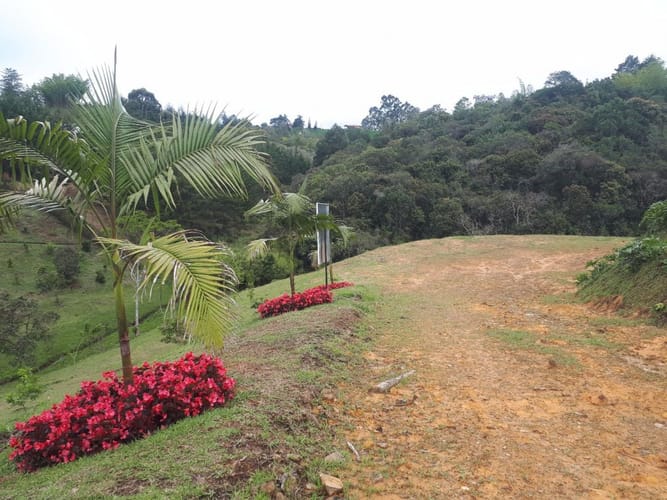 Lote en venta en La Sonadora, El Carmen de Viboral, 5200 m² · foto 16 de 16