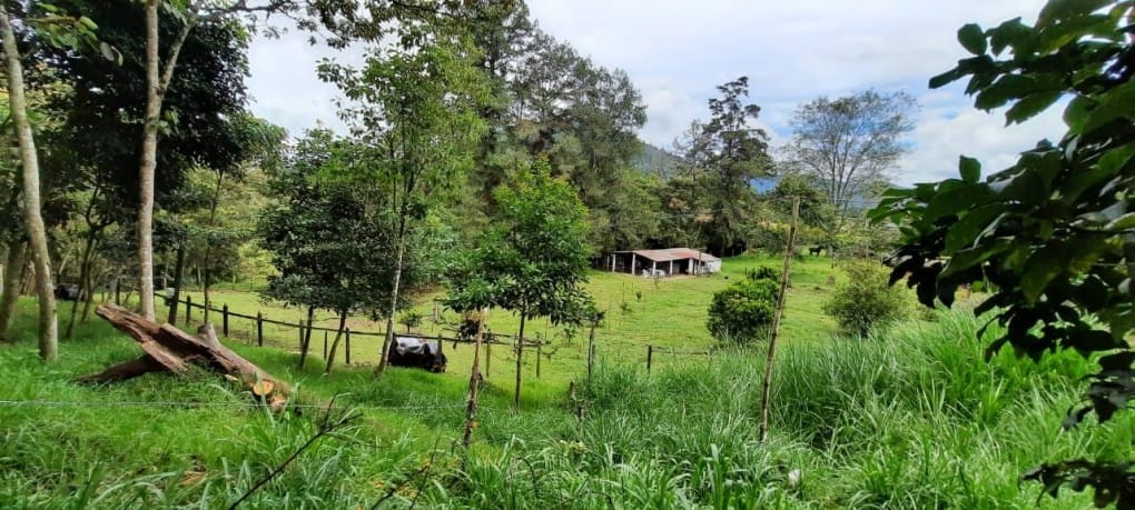 Lote en venta en Llano Grande, Rionegro, 26000 m² · foto 2 de 19