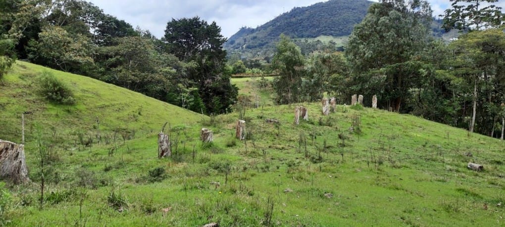 Lote en venta en Llano Grande, Rionegro, 26000 m² · foto 3 de 19