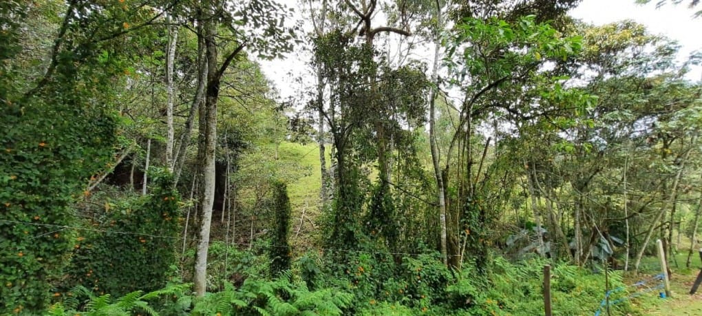 Lote en venta en Llano Grande, Rionegro, 26000 m² · foto 4 de 19