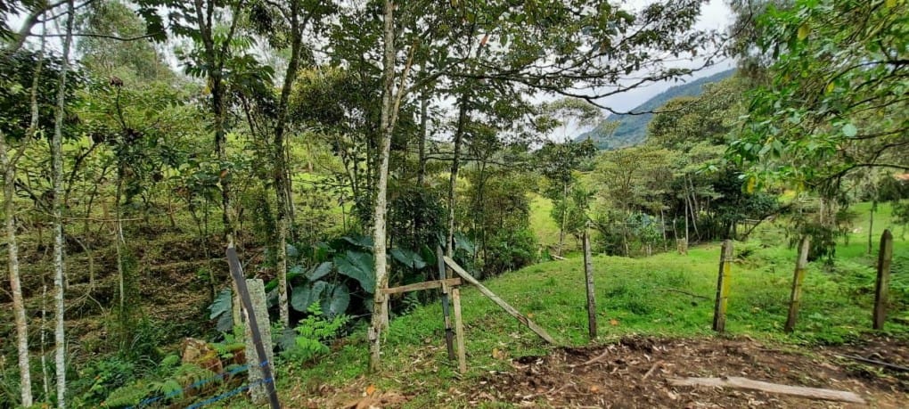 Lote en venta en Llano Grande, Rionegro, 26000 m² · foto 5 de 19
