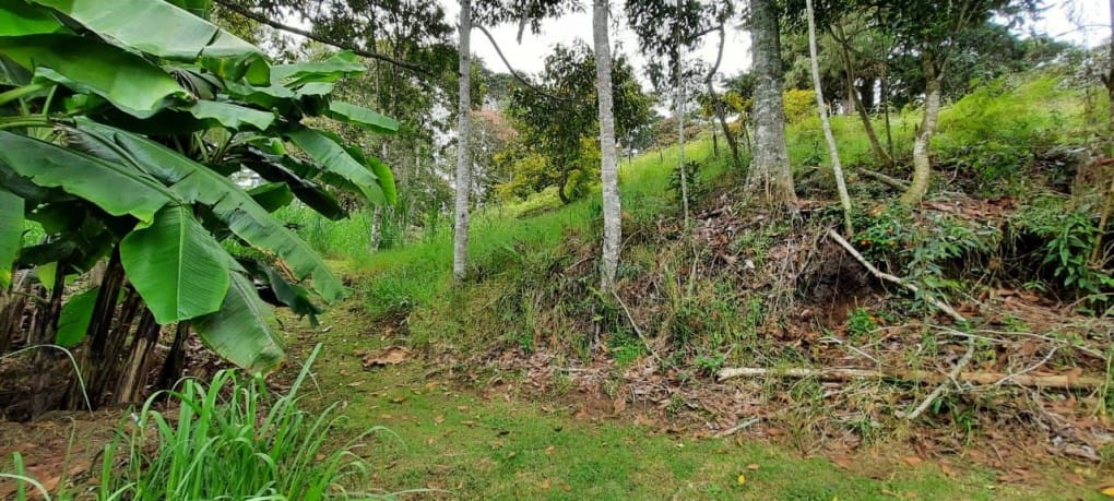 Lote en venta en Llano Grande, Rionegro, 26000 m² · foto 6 de 19