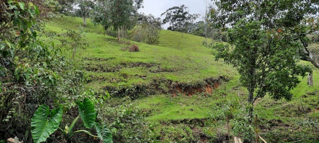 Lote en venta en Llano Grande, Rionegro, 26000 m² · foto 7 de 19
