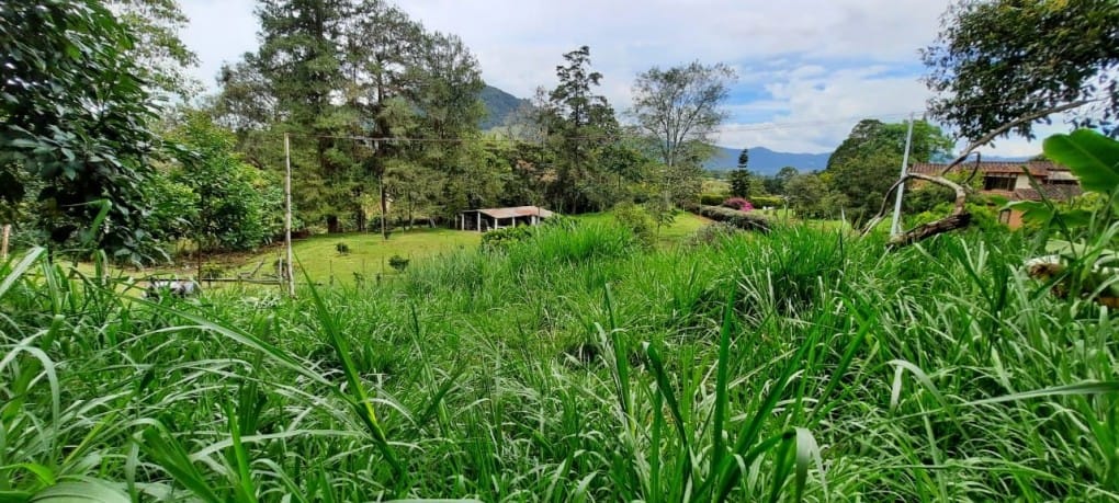 Lote en venta en Llano Grande, Rionegro, 26000 m² · foto 8 de 19