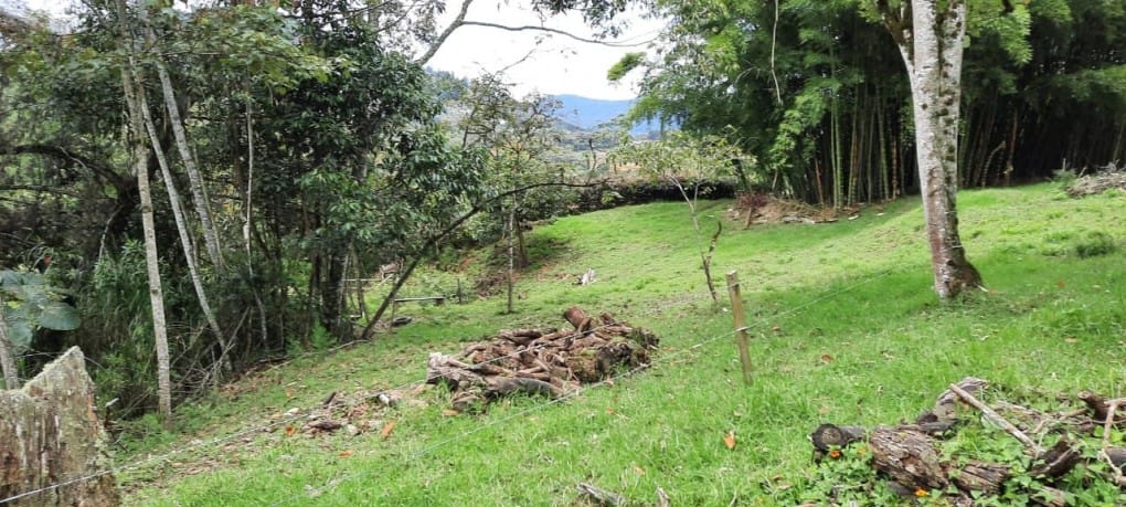 Lote en venta en Llano Grande, Rionegro, 26000 m² · foto 9 de 19