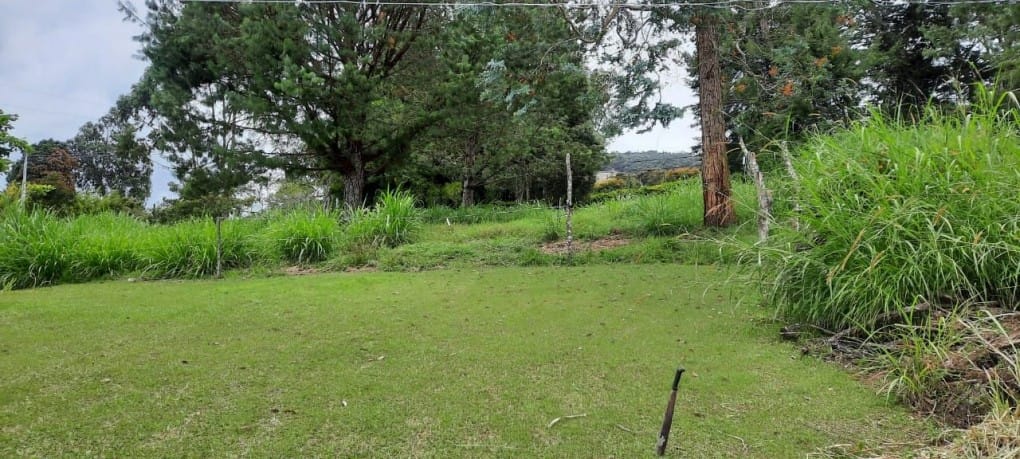 Lote en venta en Llano Grande, Rionegro, 26000 m² · foto 10 de 19