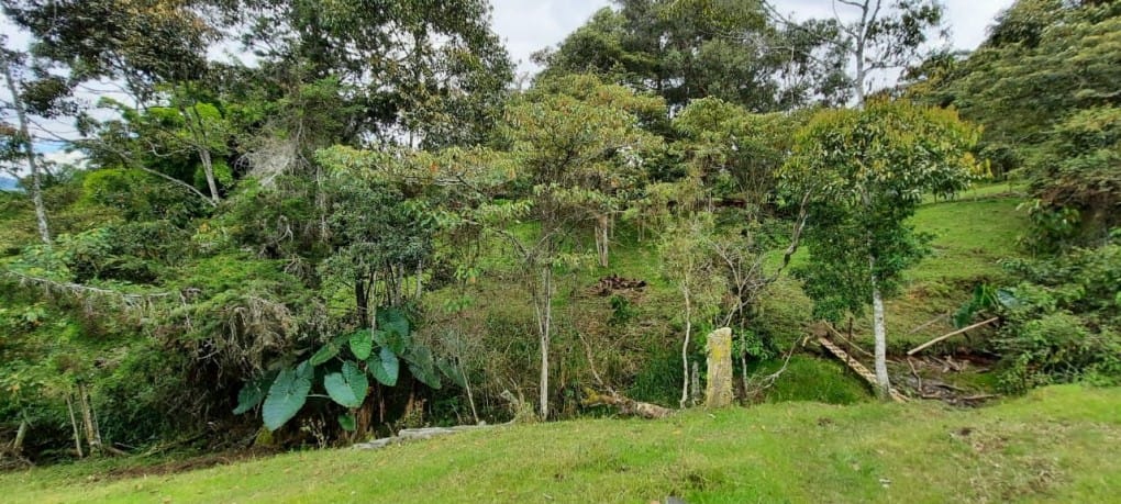 Lote en venta en Llano Grande, Rionegro, 26000 m² · foto 12 de 19
