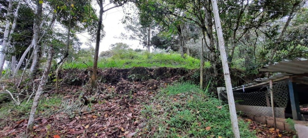 Lote en venta en Llano Grande, Rionegro, 26000 m² · foto 14 de 19
