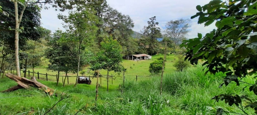 Lote en venta en Llano Grande, Rionegro, 26000 m² · foto 15 de 19