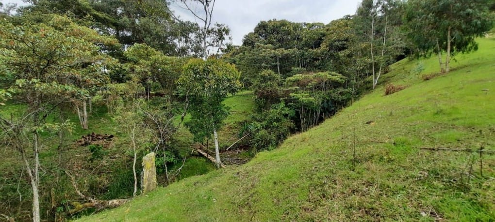 Lote en venta en Llano Grande, Rionegro, 26000 m² · foto 16 de 19