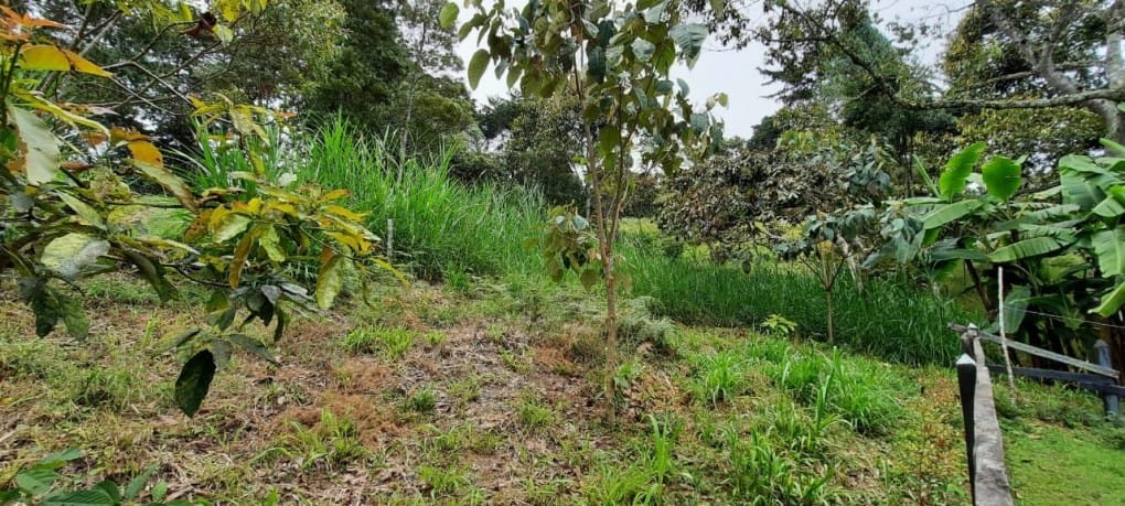 Lote en venta en Llano Grande, Rionegro, 26000 m² · foto 17 de 19