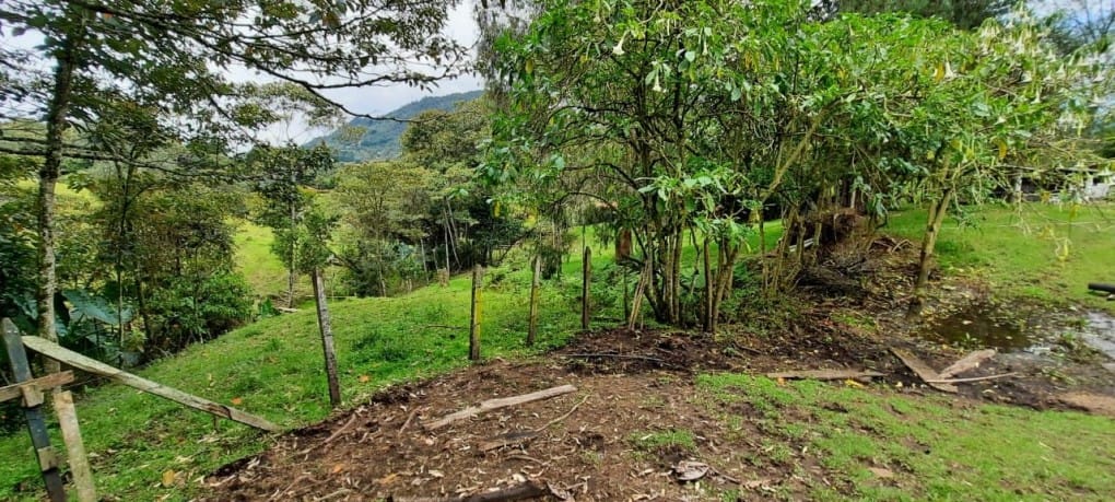 Lote en venta en Llano Grande, Rionegro, 26000 m² · foto 18 de 19