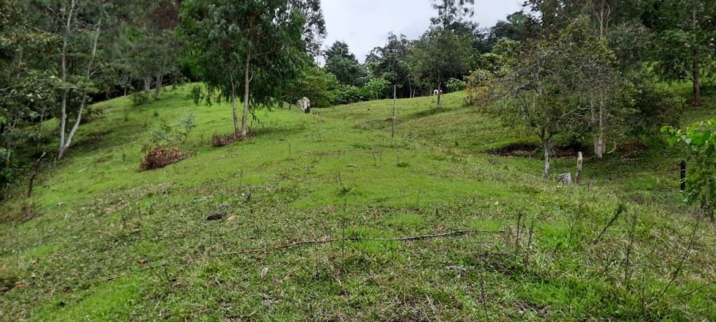 Lote en venta en Llano Grande, Rionegro, 26000 m² · foto 19 de 19