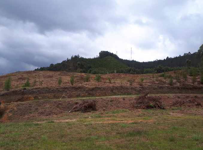 Lote en venta en Guayabito, Rionegro, 2231 m² · foto 2 de 13