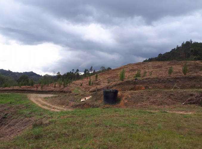 Lote en venta en Guayabito, Rionegro, 2231 m² · foto 3 de 13