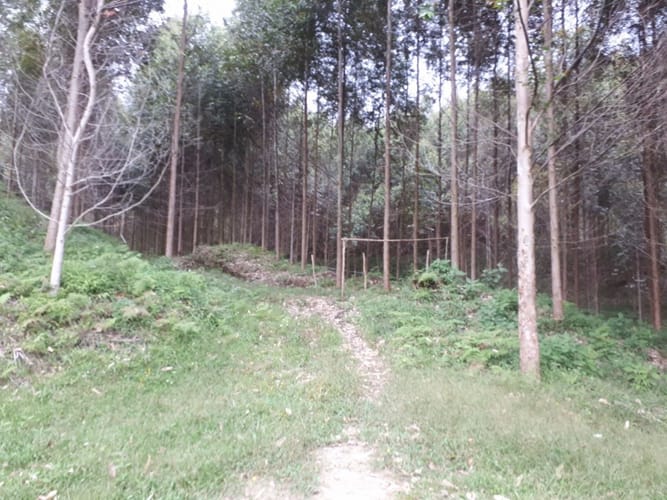 Lote en venta en Guayabito, Rionegro, 2231 m² · foto 10 de 13