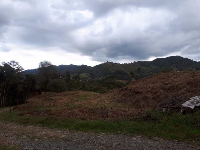 Lote en venta en Guayabito, Rionegro, 2231 m² · foto 13 de 13