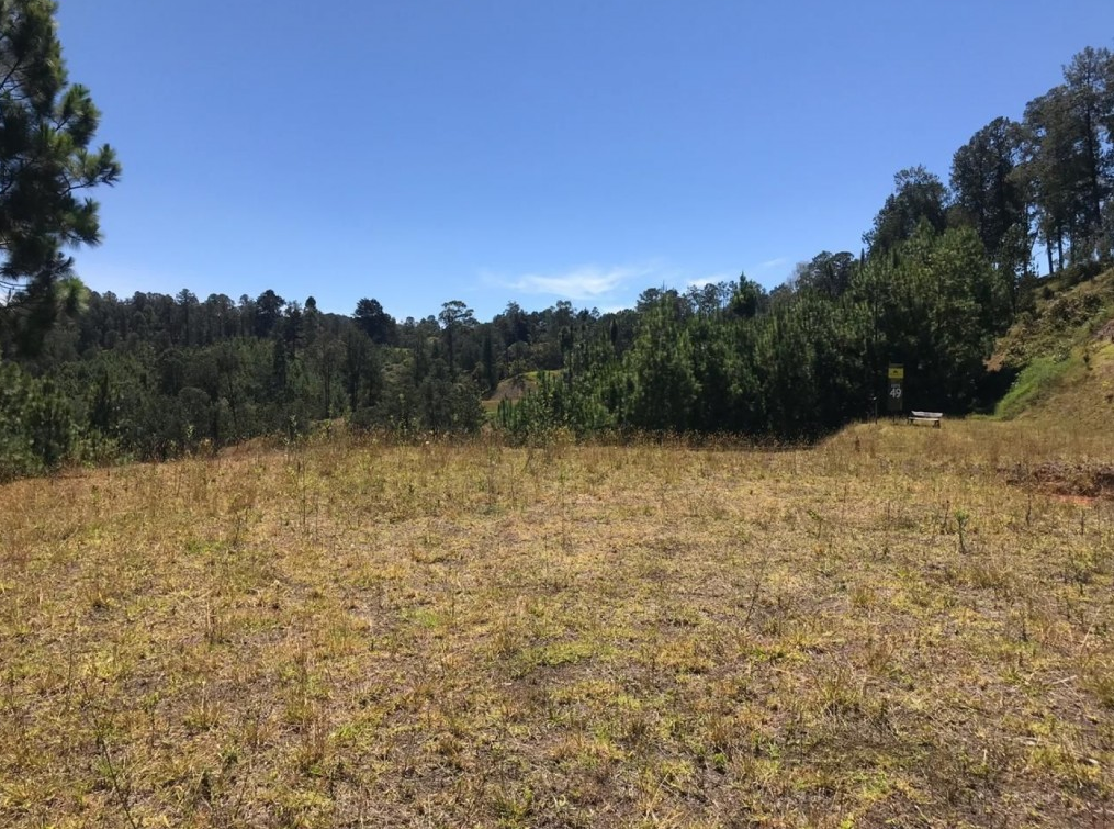 Land in El portento (2136 m²) for Sale