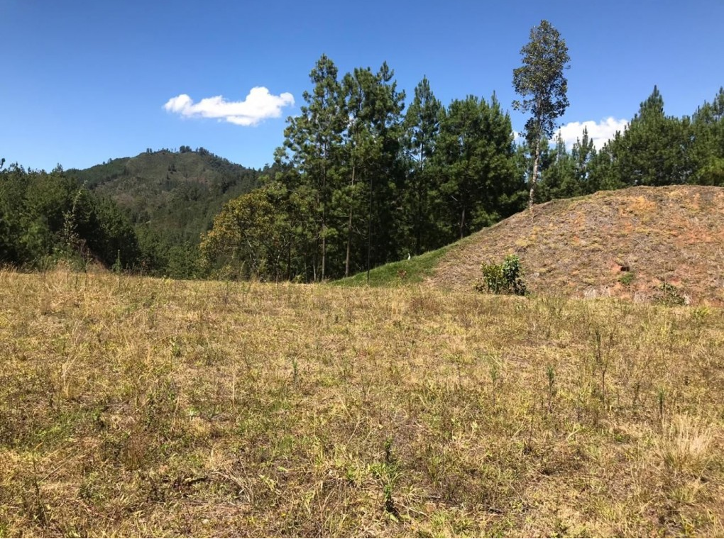 Land in El portento (2136 m²) for Sale - 2