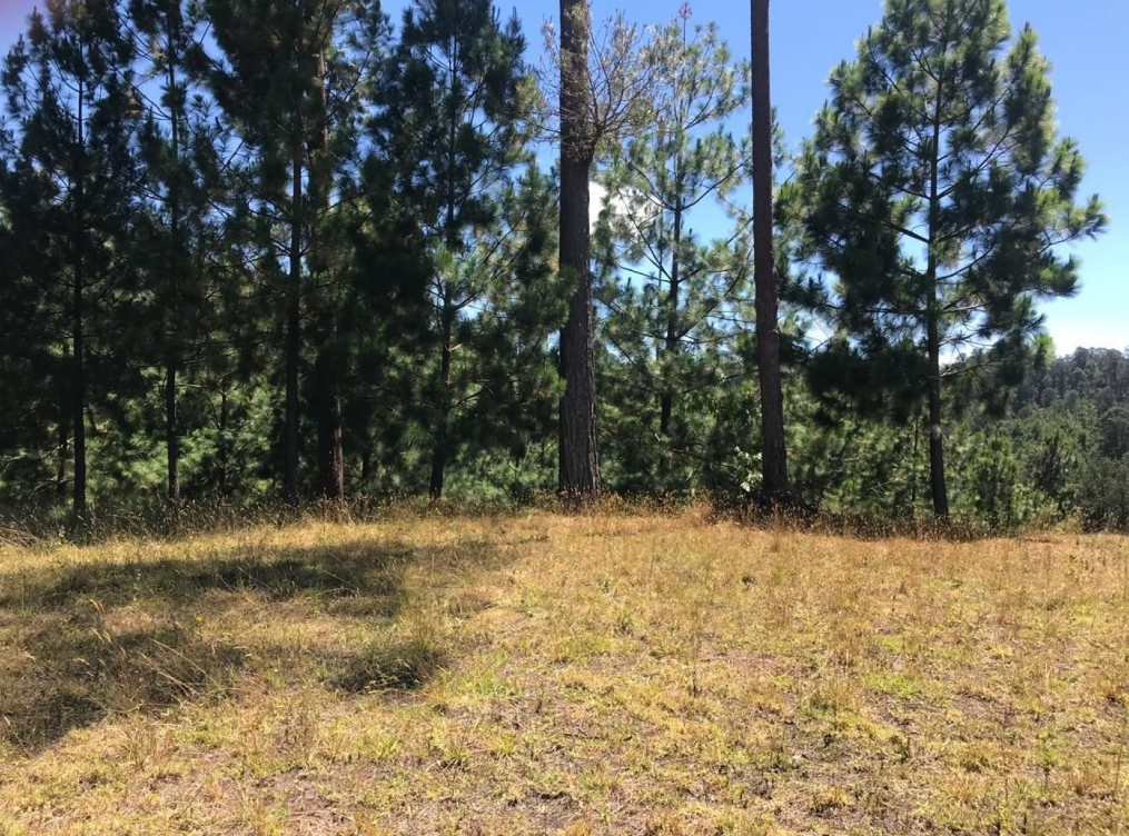 Land in El portento (2136 m²) for Sale - 3