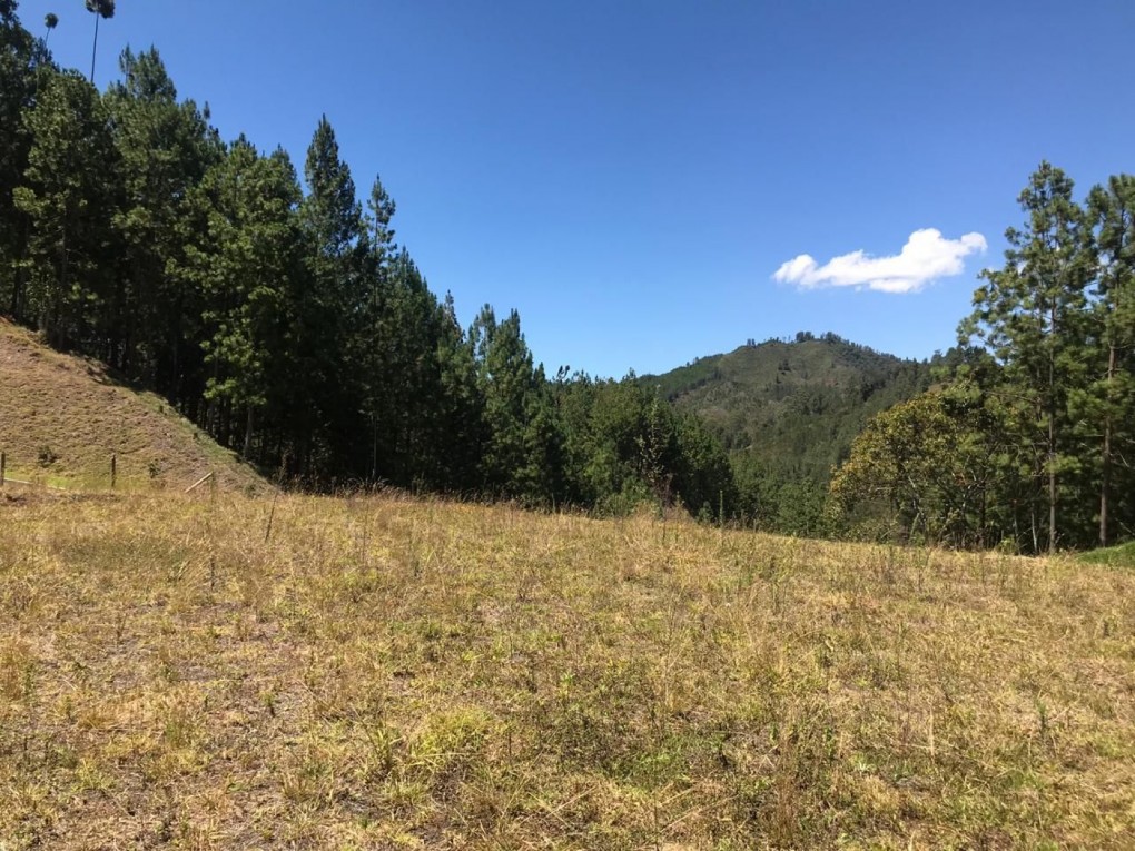 Land in El portento (2136 m²) for Sale - 4