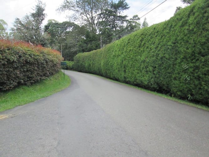 Lote en venta en La Ceja, 6125 m² · foto 5 de 6