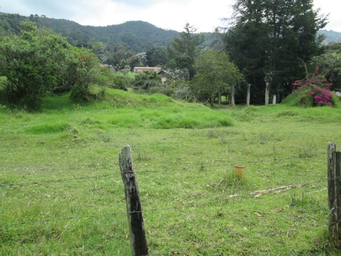 Lote en venta en La Ceja, 6125 m² · foto 6 de 6