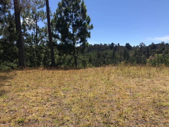 Lote en venta en Don Diego, El Retiro, 2136 m² · foto 7 de 10