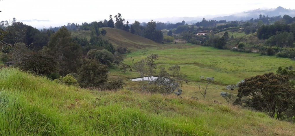 Lote en venta en Canoas, Guarne · foto 2 de 19