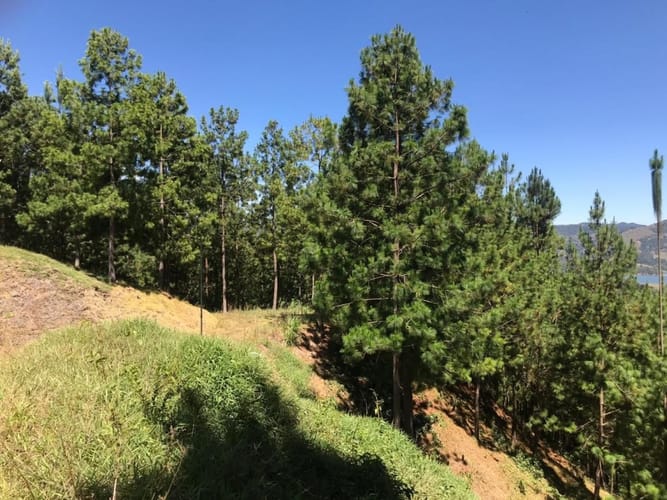 Lote en venta en Don Diego, El Retiro, 2136 m² · foto 8 de 10
