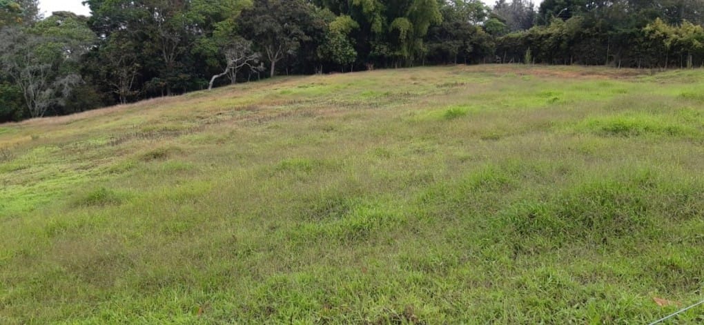 Lote en venta en Canoas, Guarne · foto 3 de 19