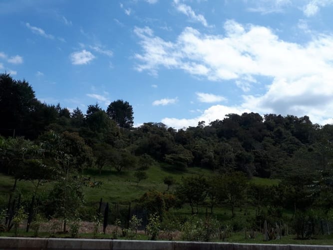 Lote en venta en Canoas, Guarne · foto 4 de 19