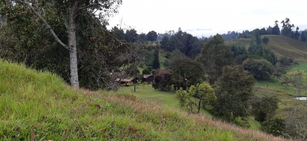 Lote en venta en Canoas, Guarne · foto 5 de 19