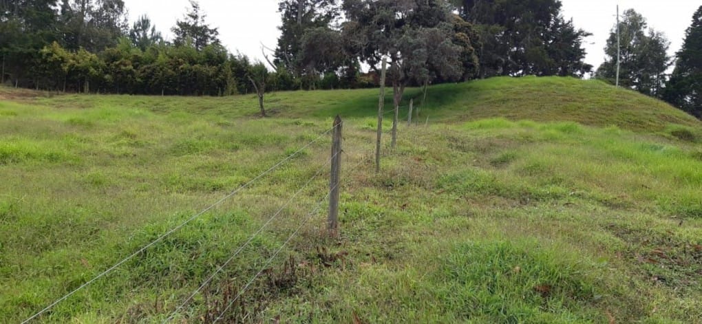 Lote en venta en Canoas, Guarne · foto 7 de 19