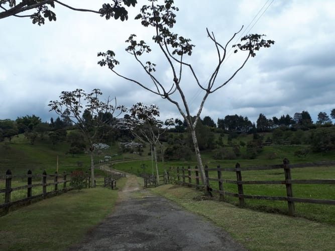Lote en venta en Canoas, Guarne · foto 8 de 19