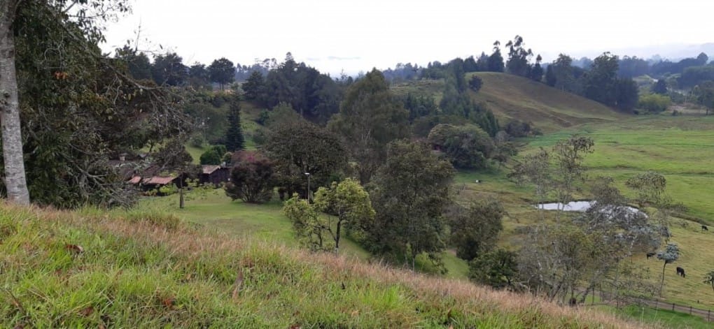 Lote en venta en Canoas, Guarne · foto 10 de 19