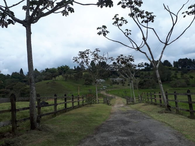 Lote en venta en Canoas, Guarne · foto 11 de 19