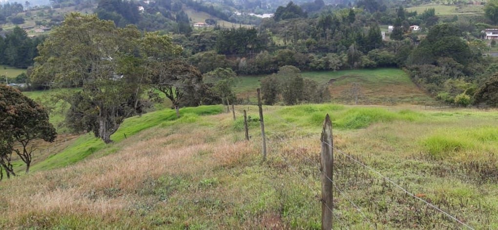 Lote en venta en Canoas, Guarne · foto 13 de 19