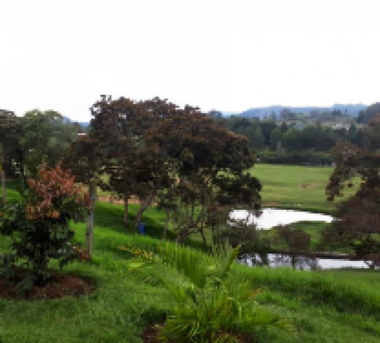 Lote en venta en Canoas, Guarne · foto 15 de 19