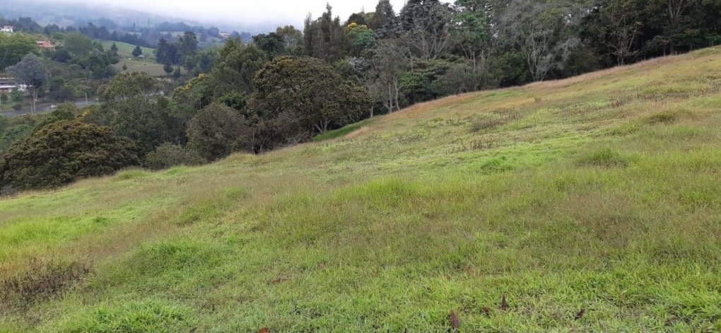 Lote en venta en Canoas, Guarne · foto 16 de 19