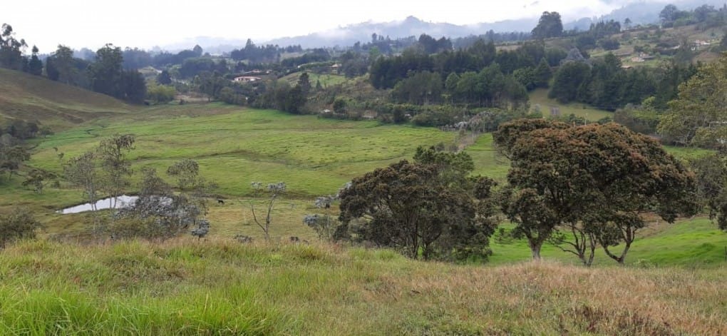 Lote en venta en Canoas, Guarne · foto 19 de 19