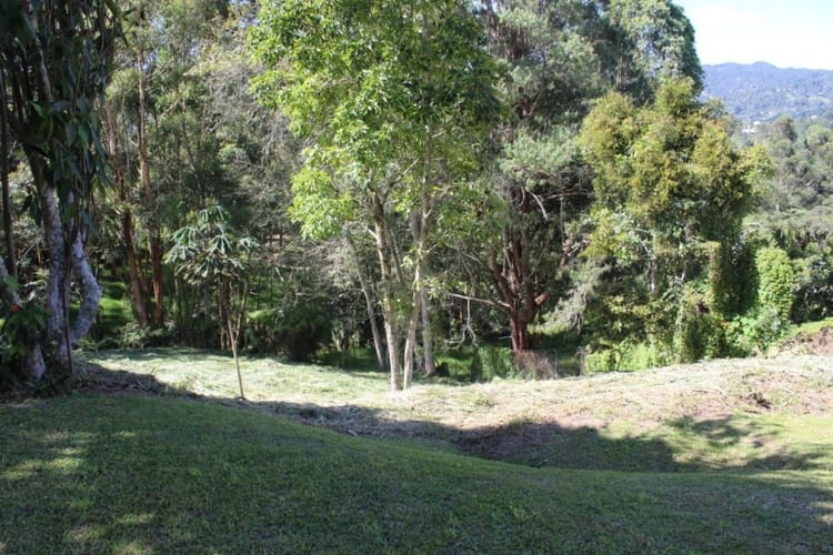 Finca en venta en Santa Elena, El Retiro, 6000 m² · foto 13 de 18